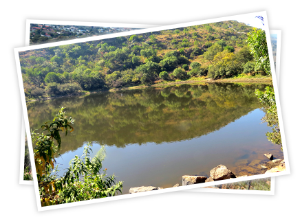 Dam on Estate
